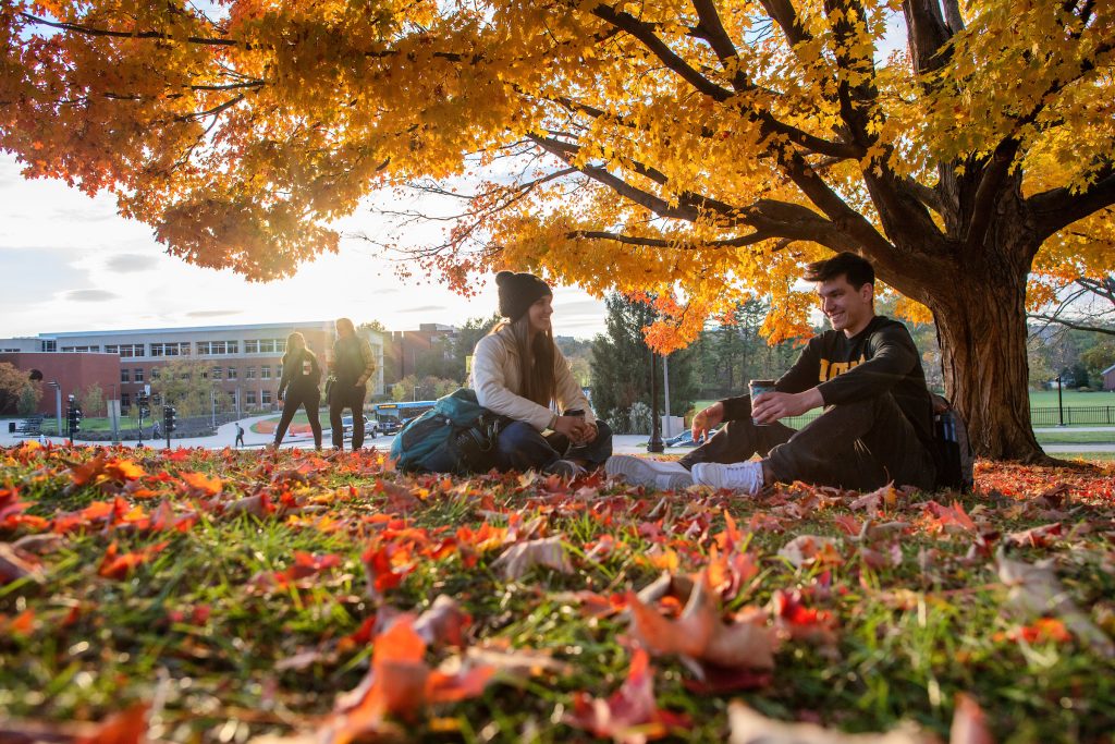 Fall Break Focus Strategic Steps to Advance Your Career as an